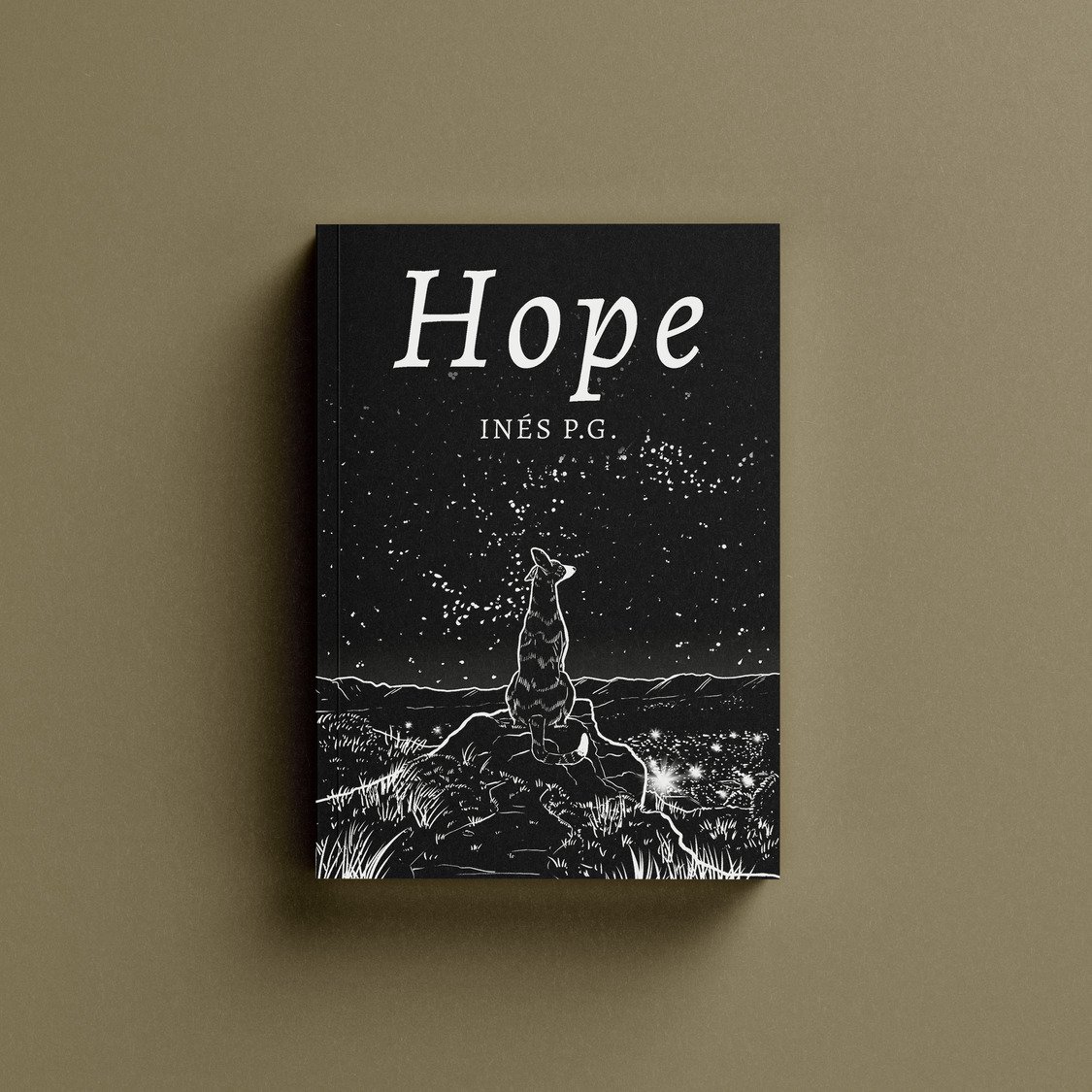 Book Cover